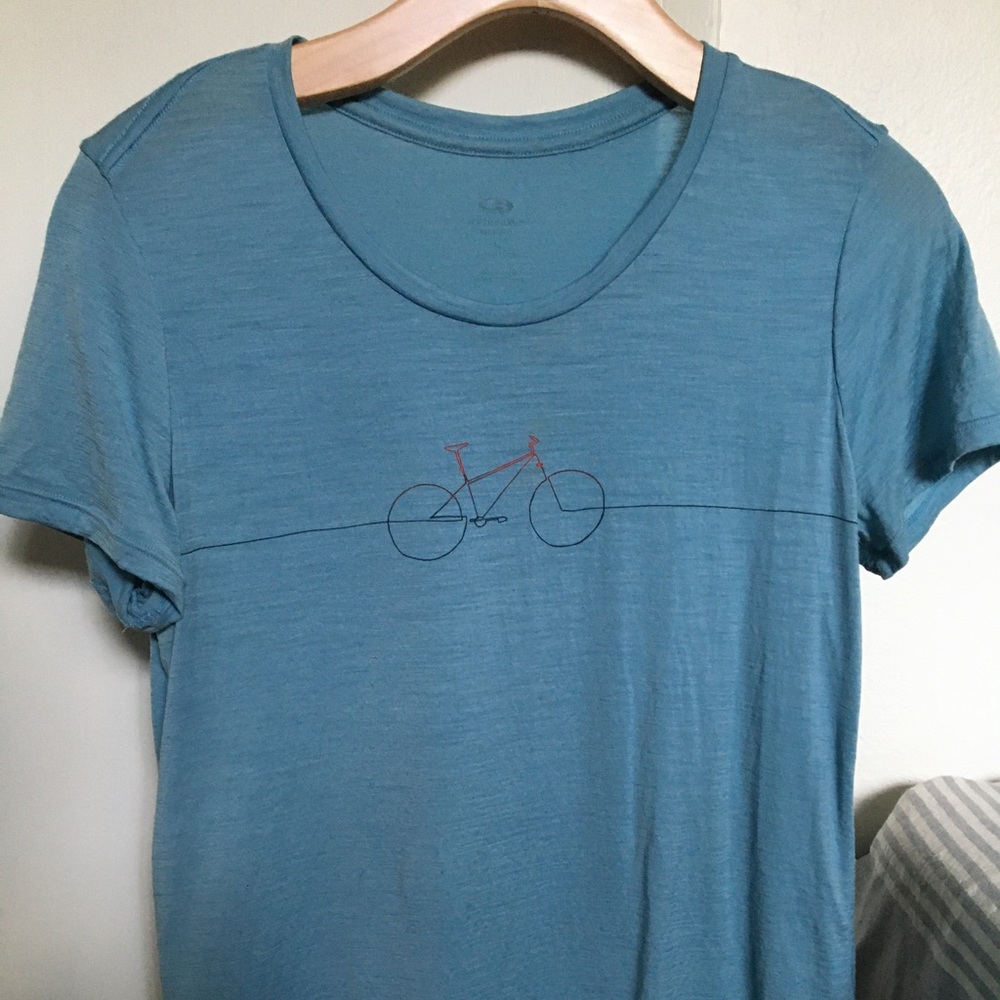 Icebreaker merino wool tshirt. 87% wool, 13% nylon. Size M. Women’s.